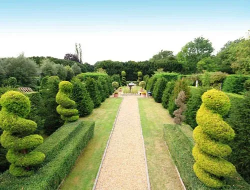 Expert yard maintenance for year-round maintenance across Brownsville, TX - Josue's Landscaping