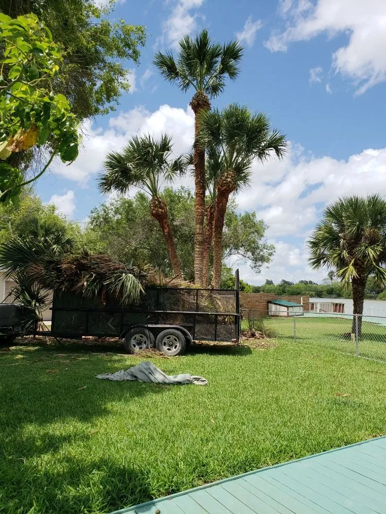 Affordable landscaping services in Brownsville, TX by Josue's Landscaping