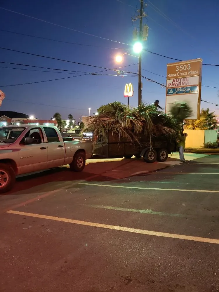 Top-rated yard cleanup service for year-round maintenance in Brownsville, TX by Josue's Landscaping