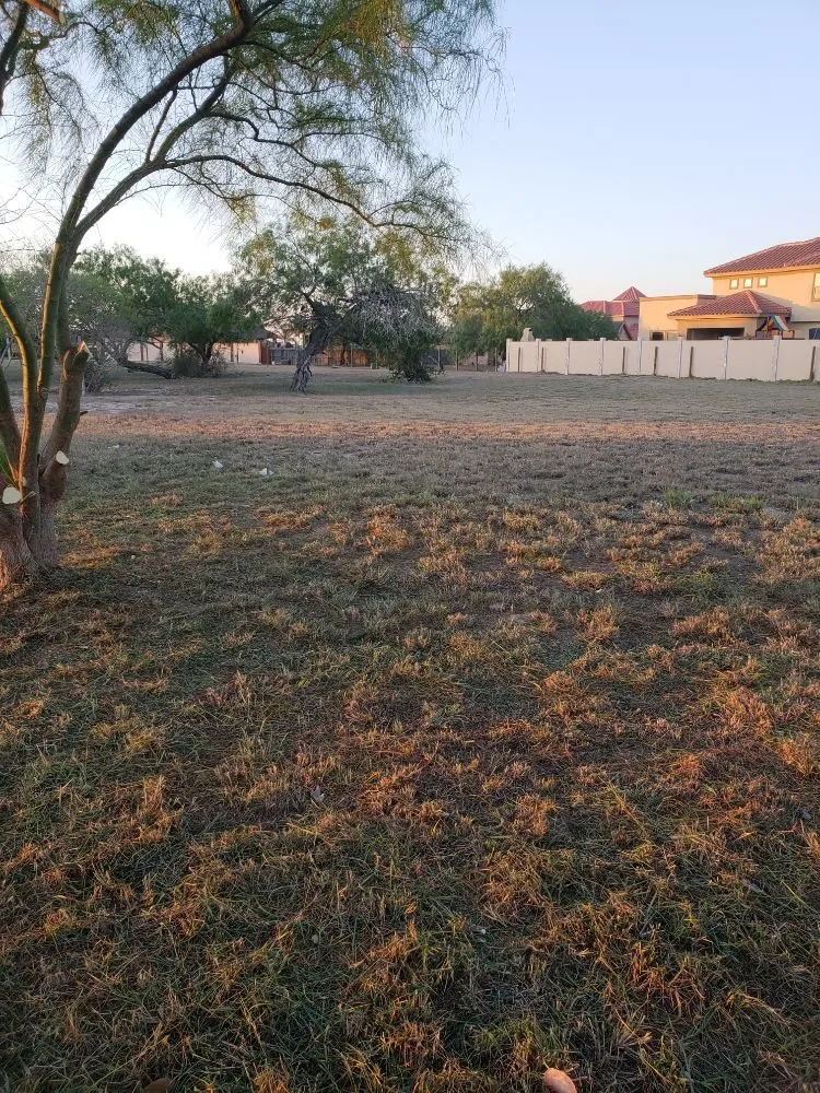 Custom landscape design experts serving Brownsville, TX - Josue's Landscaping