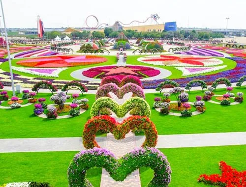 Local landscape design experts serving Brownsville, TX - Josue's Landscaping