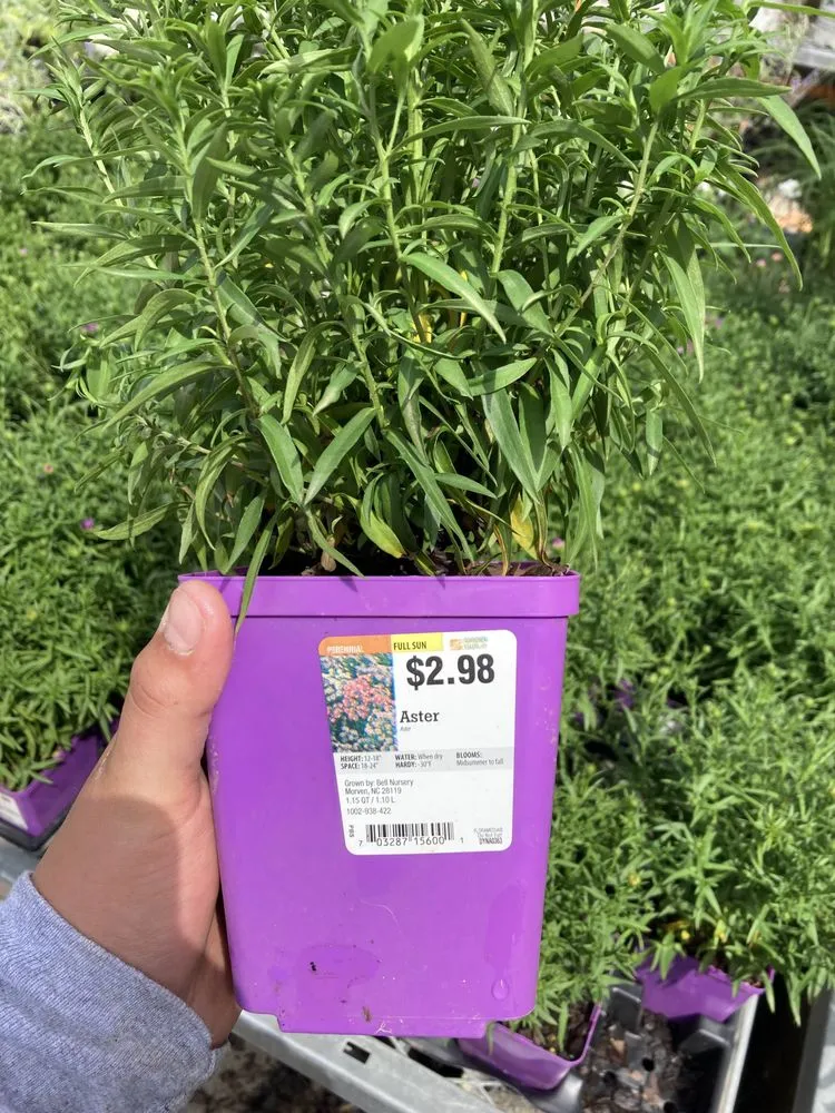 Trusted lawn care service for homes across Sterling, VA - Josue's Lawn and Landscaping Services