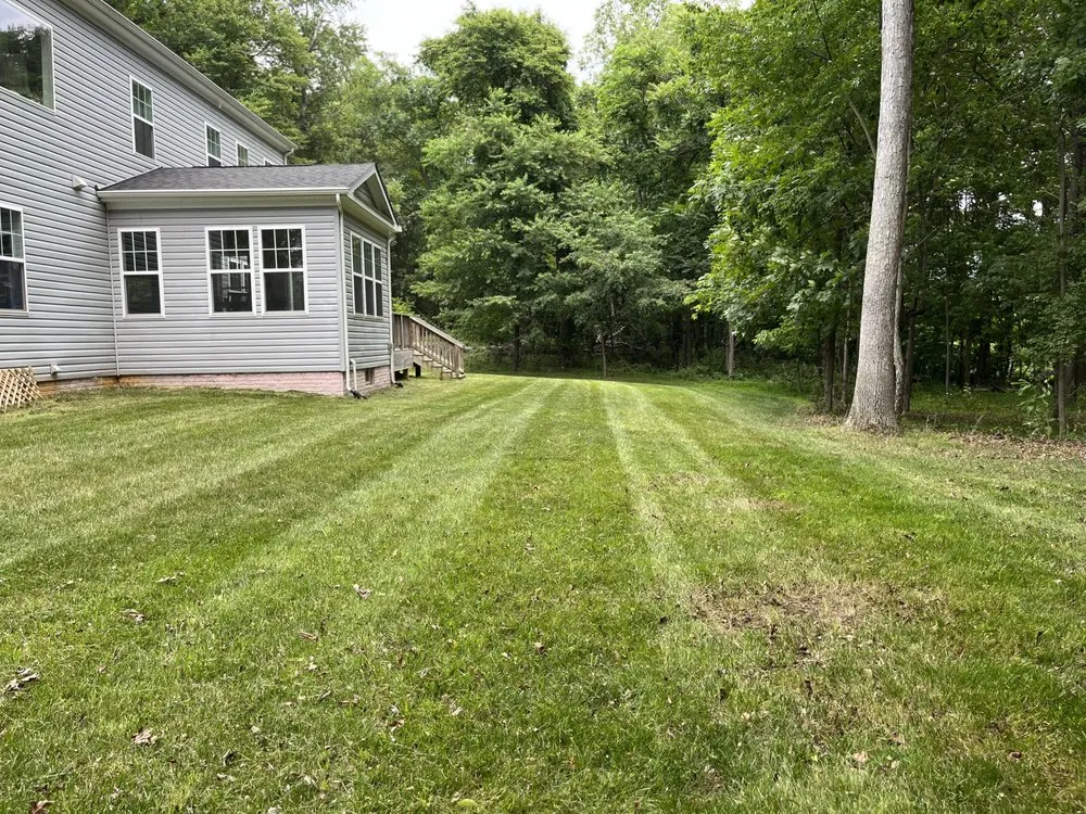 Professional yard cleanup service in Sterling, VA - Josue's Lawn and Landscaping Services