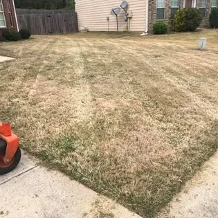 Reliable yard cleanup service for homes across Rutledge, GA - JourneyScape Lawn Maintenance and Service