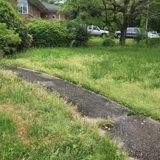 Professional outdoor landscaping in Rutledge, GA by JourneyScape Lawn Maintenance and Service