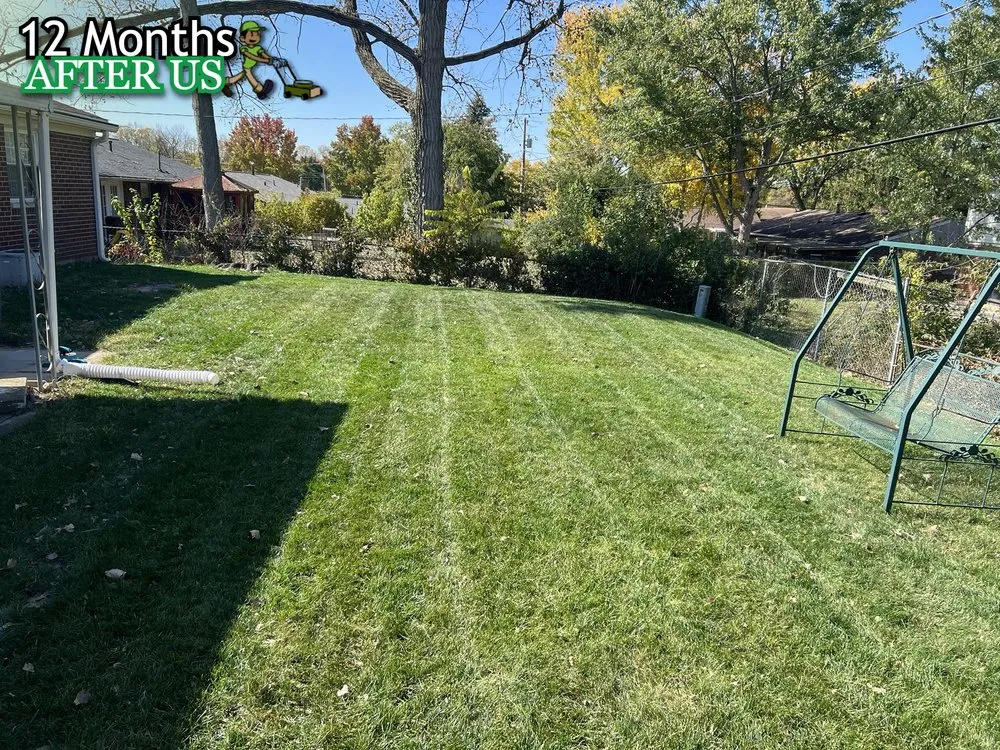 Affordable lawn care service in Miami Beach, FL - JovanCare