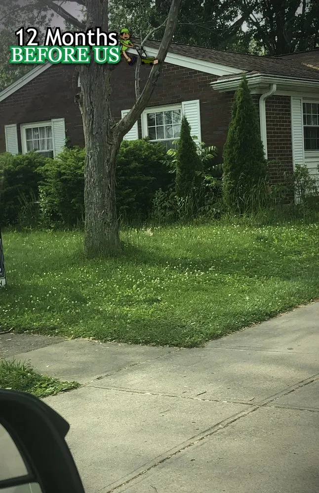 Professional landscape design in Miami Beach, FL - JovanCare