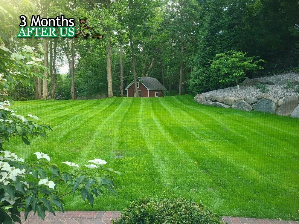 Trusted outdoor landscaping in Miami Beach, FL by JovanCare