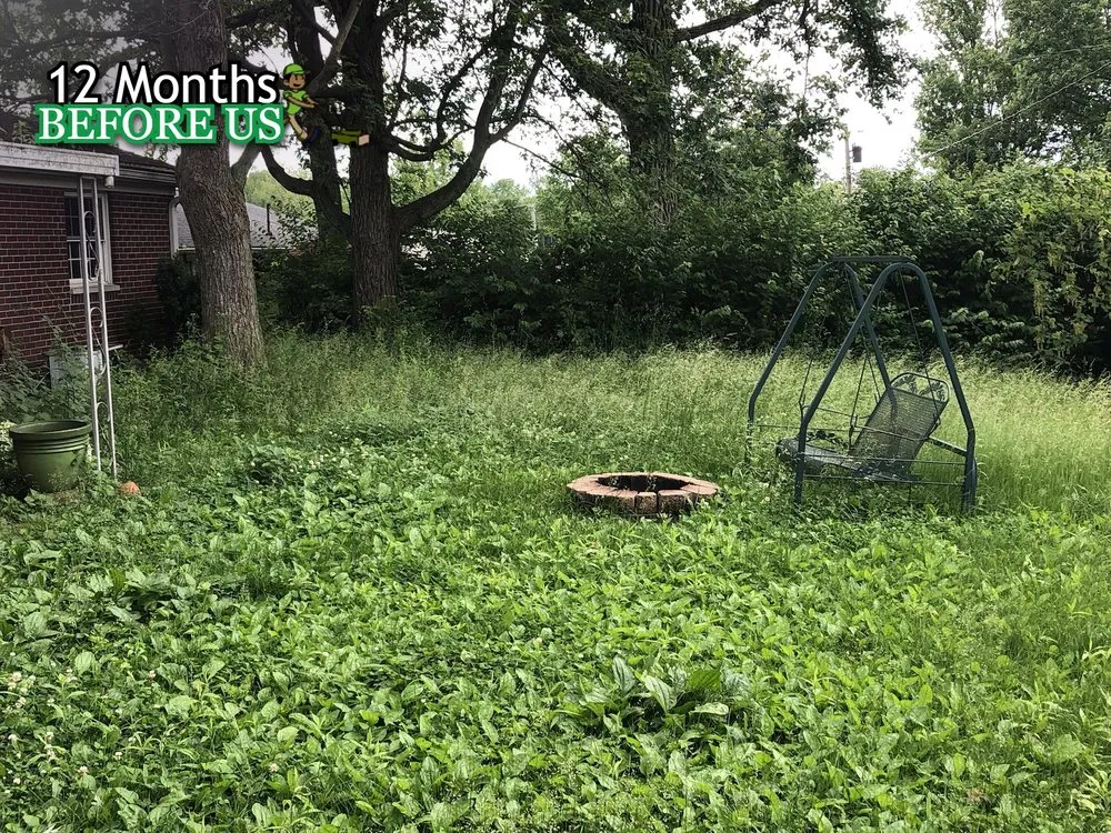 Custom lawn care service for year-round maintenance across Miami Beach, FL - JovanCare