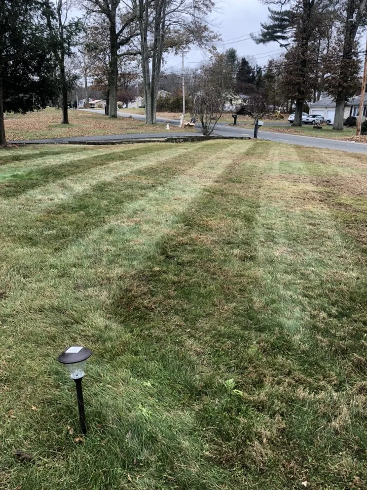 Professional outdoor landscaping near you across East Haven, CT - Jovani Precious Cuts