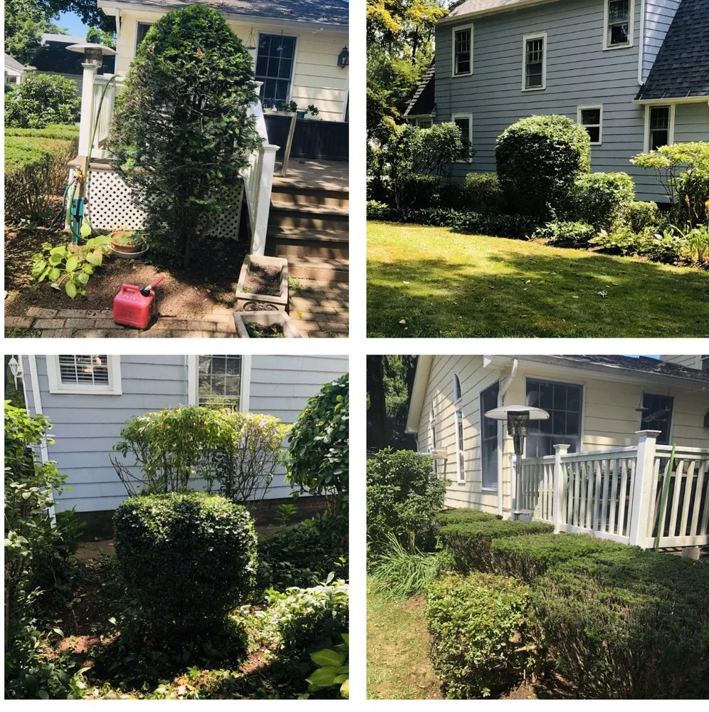 Local yard maintenance experts serving East Haven, CT - Jovani Precious Cuts