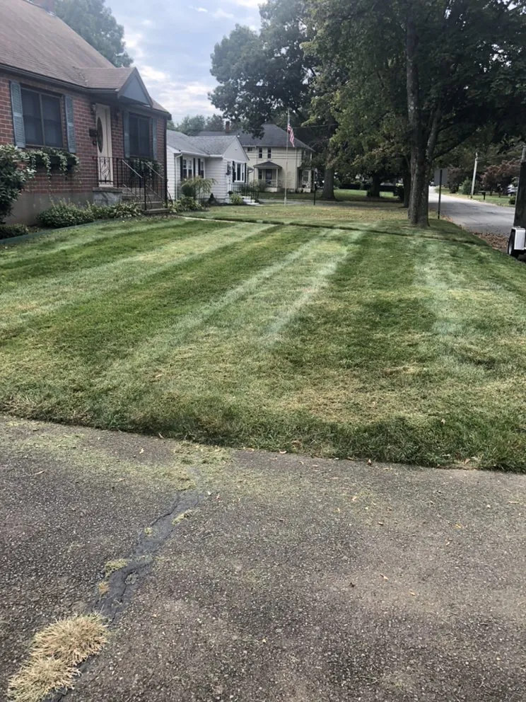 Local lawn mowing service in East Haven, CT - Jovani Precious Cuts