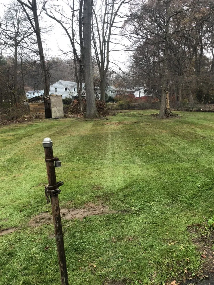 Reliable landscape installation in East Haven, CT by Jovani Precious Cuts
