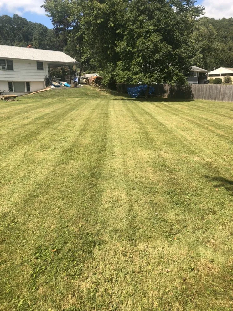 Professional outdoor landscaping in East Haven, CT - Jovani Precious Cuts