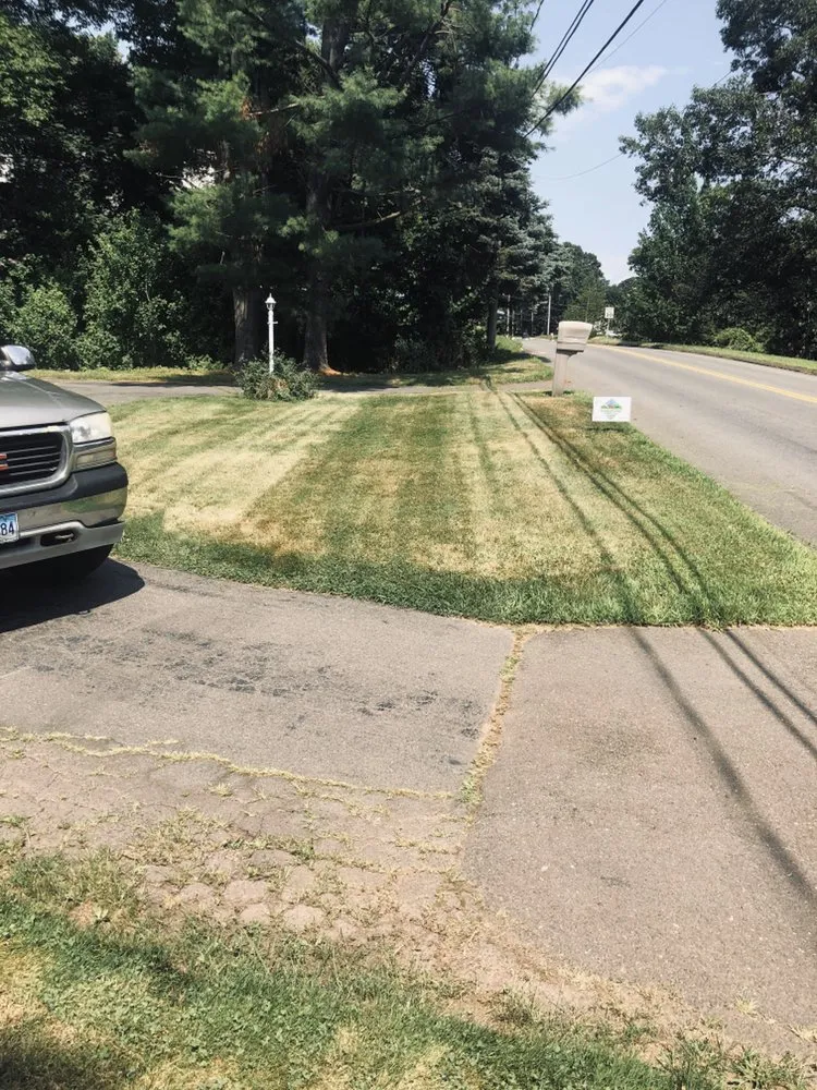 Expert residential landscaping in East Haven, CT - Jovani Precious Cuts