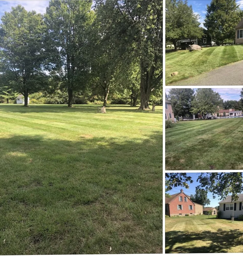 Reliable landscape installation experts serving East Haven, CT - Jovani Precious Cuts