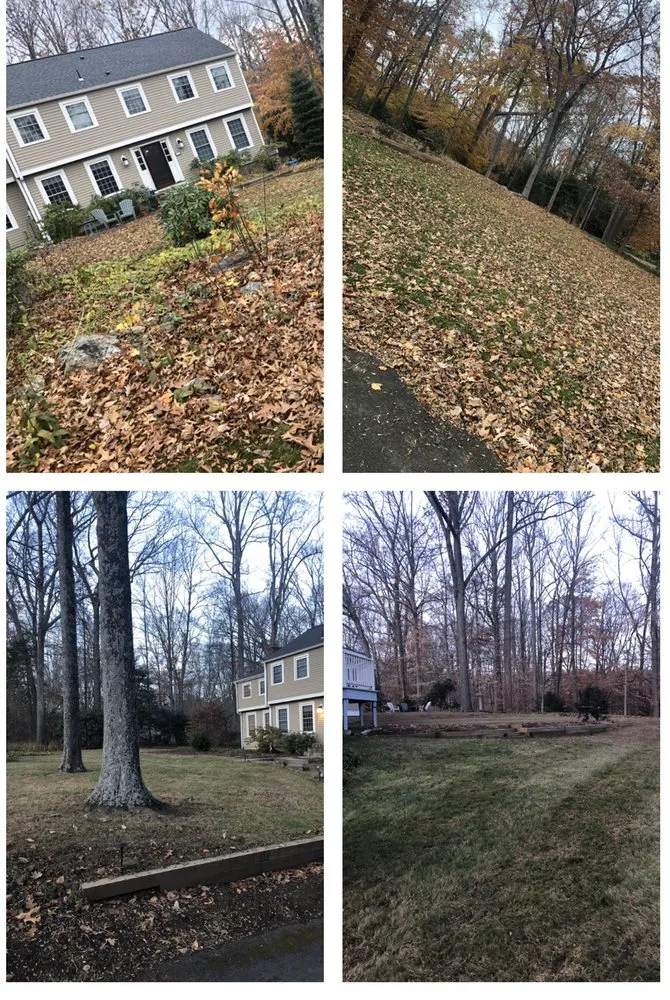 Reliable outdoor landscaping in East Haven, CT by Jovani Precious Cuts