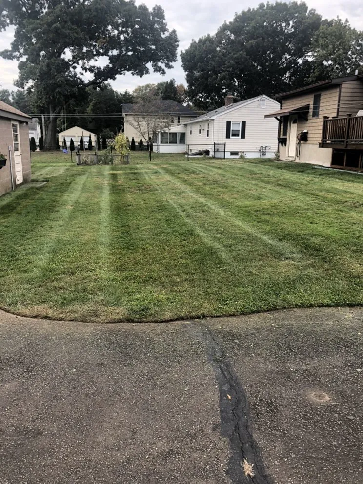 Top-rated residential landscaping for outdoor upgrades across East Haven, CT - Jovani Precious Cuts