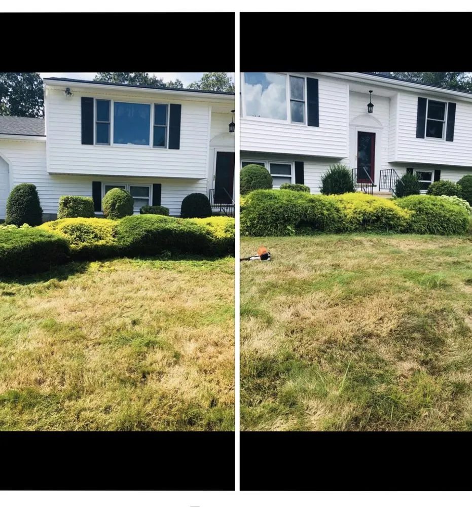 Reliable lawn mowing service for year-round maintenance in East Haven, CT by Jovani Precious Cuts
