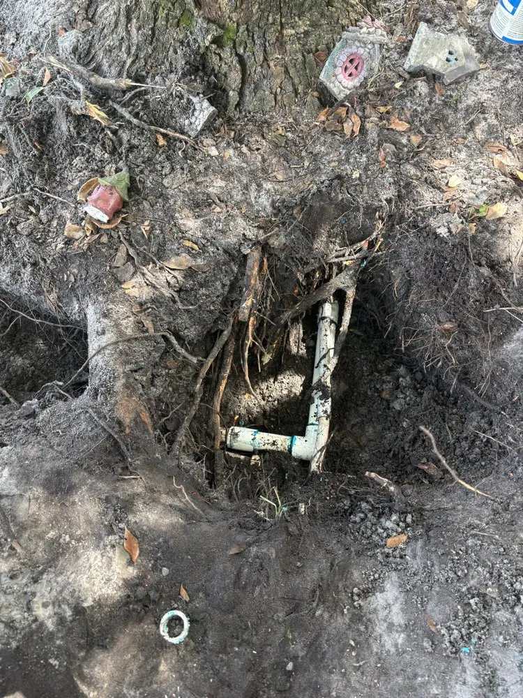 Expert landscaping services experts serving Davenport, FL - Jovannys Irrigation Services