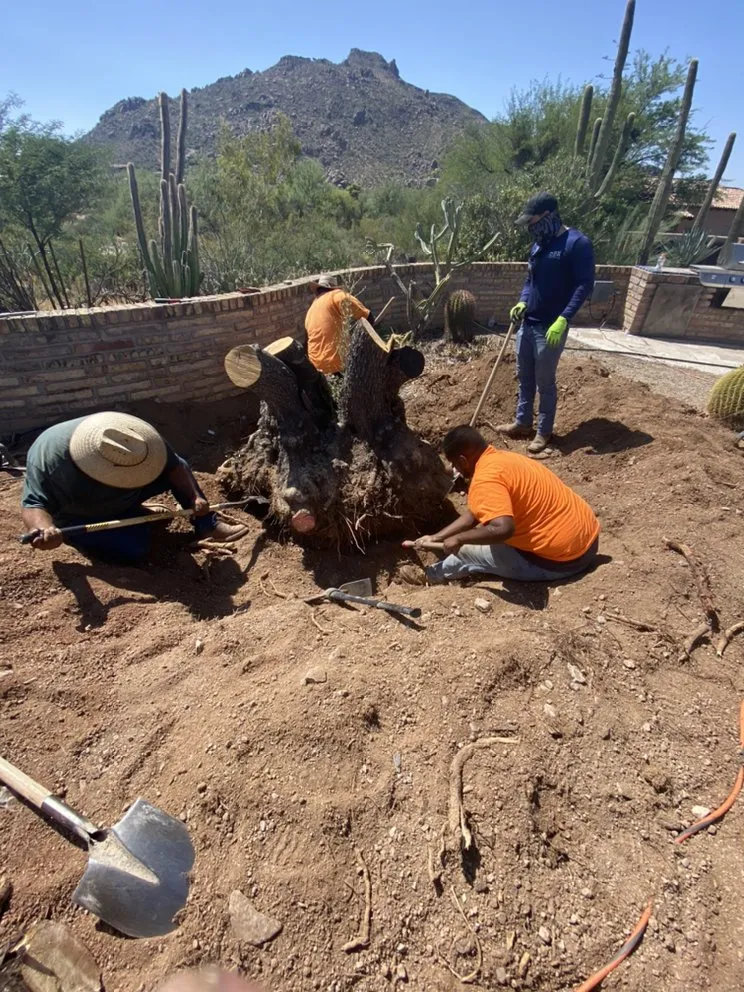 Trusted lawn mowing service experts serving Phoenix, AZ - Jovany’s Lawn Care