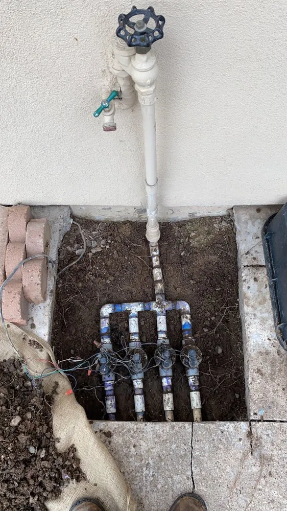 Reliable yard cleanup service in Phoenix, AZ - Jovany’s Lawn Care