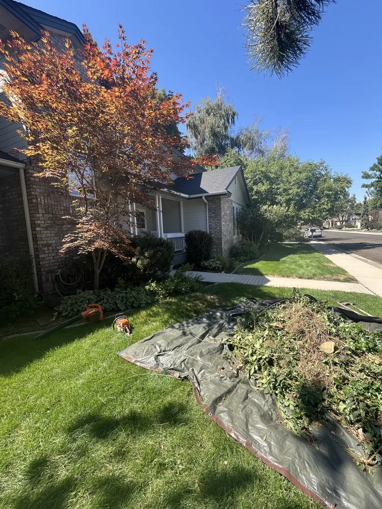 Custom lawn care service in Caldwell, ID - Jove Landscaping