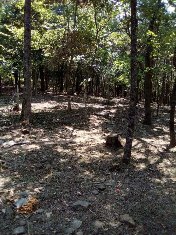 Local landscape design in Farmington, AR by Jovey's Lawn & Fence Services