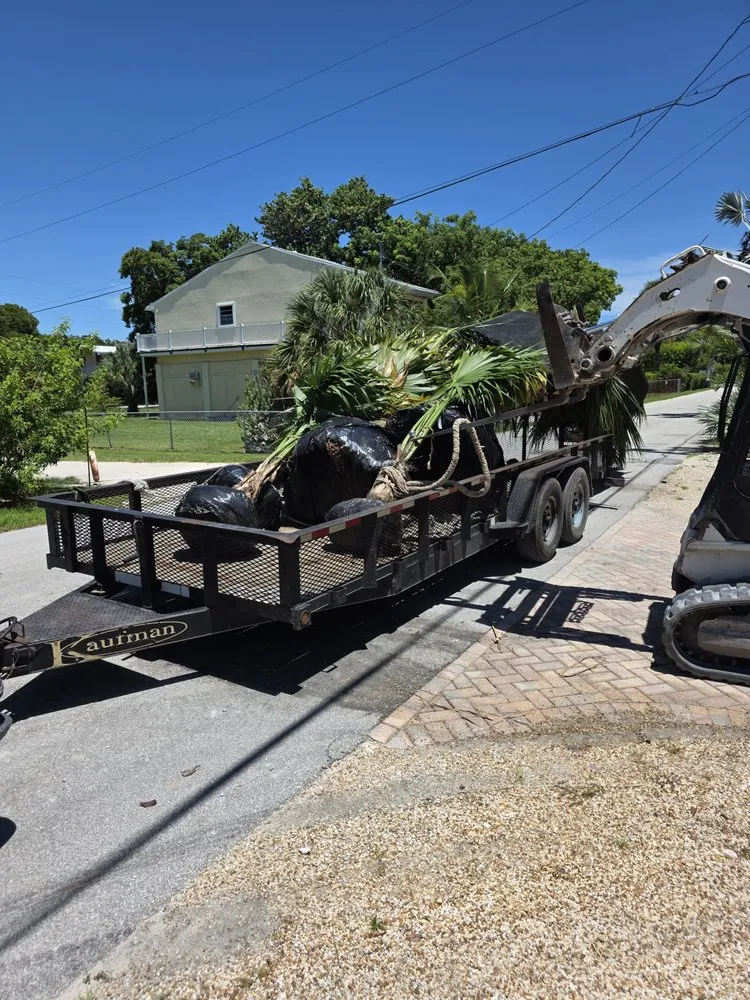 Trusted landscape installation experts serving Homestead, FL - Jovgar Landscaping Services