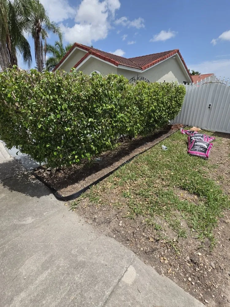 Custom yard maintenance in Homestead, FL - Jovgar Landscaping Services