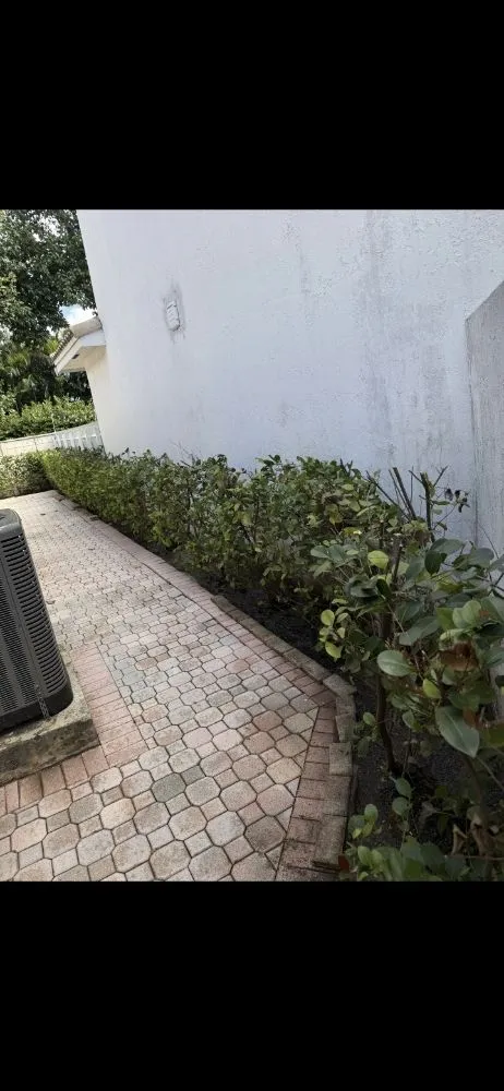 Affordable residential landscaping in Homestead, FL by Jovgar Landscaping Services