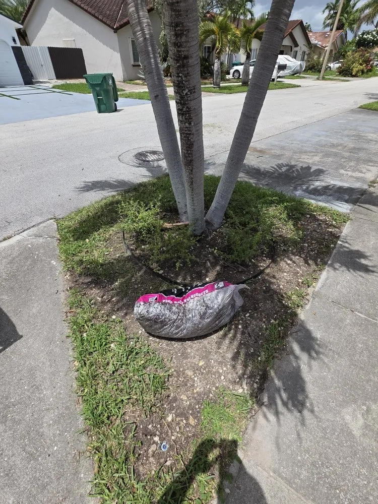 Affordable landscape design experts serving Homestead, FL - Jovgar Landscaping Services