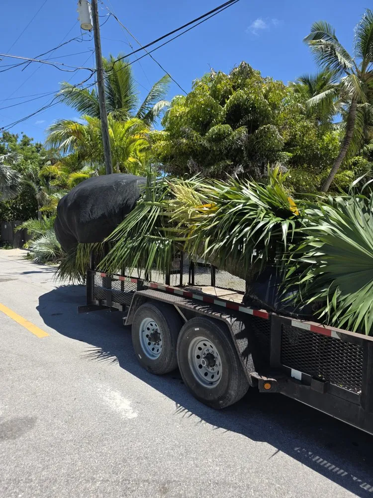 Professional landscaping services experts serving Homestead, FL - Jovgar Landscaping Services