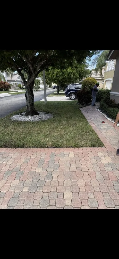 Affordable lawn mowing service in Homestead, FL by Jovgar Landscaping Services