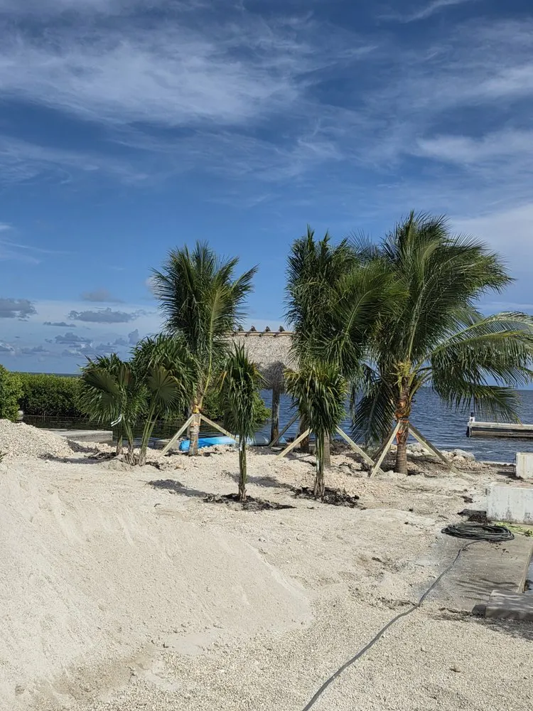 Reliable yard cleanup service in Homestead, FL by Jovgar Landscaping Services