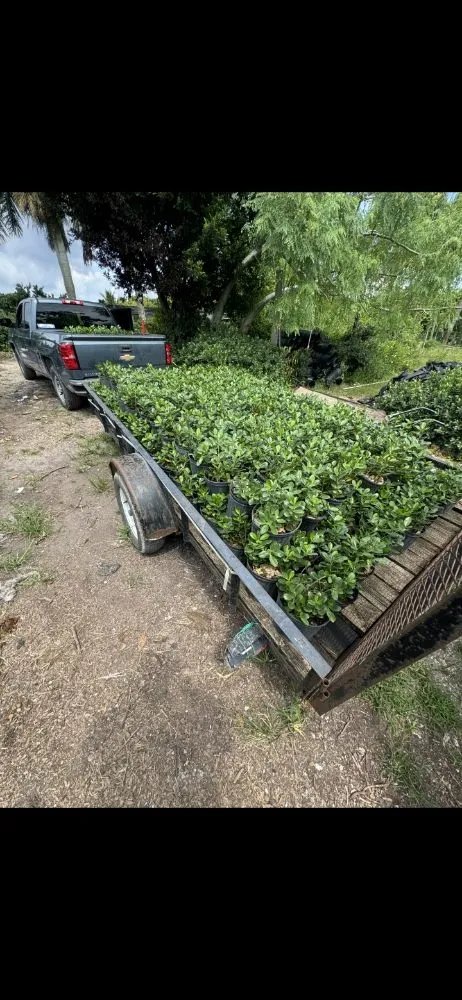 Local residential landscaping experts serving Homestead, FL - Jovgar Landscaping Services