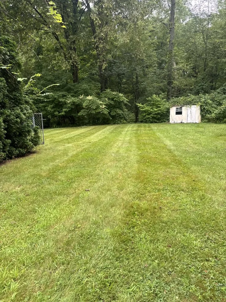 Professional yard cleanup service in Newington, CT by Jowy And Sons Landscaping