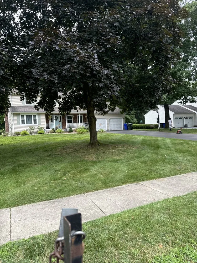 Professional residential landscaping for residential properties across Newington, CT - Jowy And Sons Landscaping