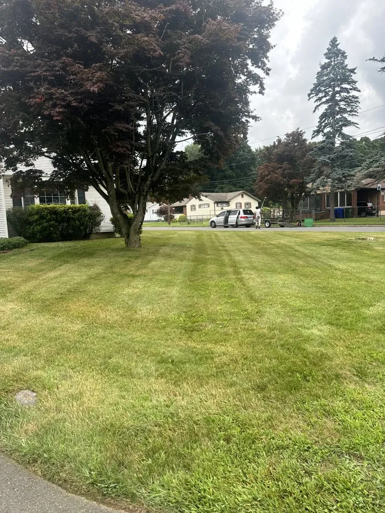 Expert landscaping services experts serving Newington, CT - Jowy And Sons Landscaping