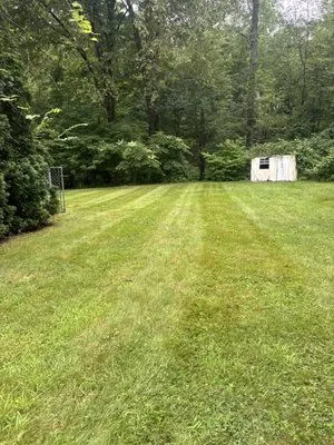 Jowy And Sons Landscaping Logo