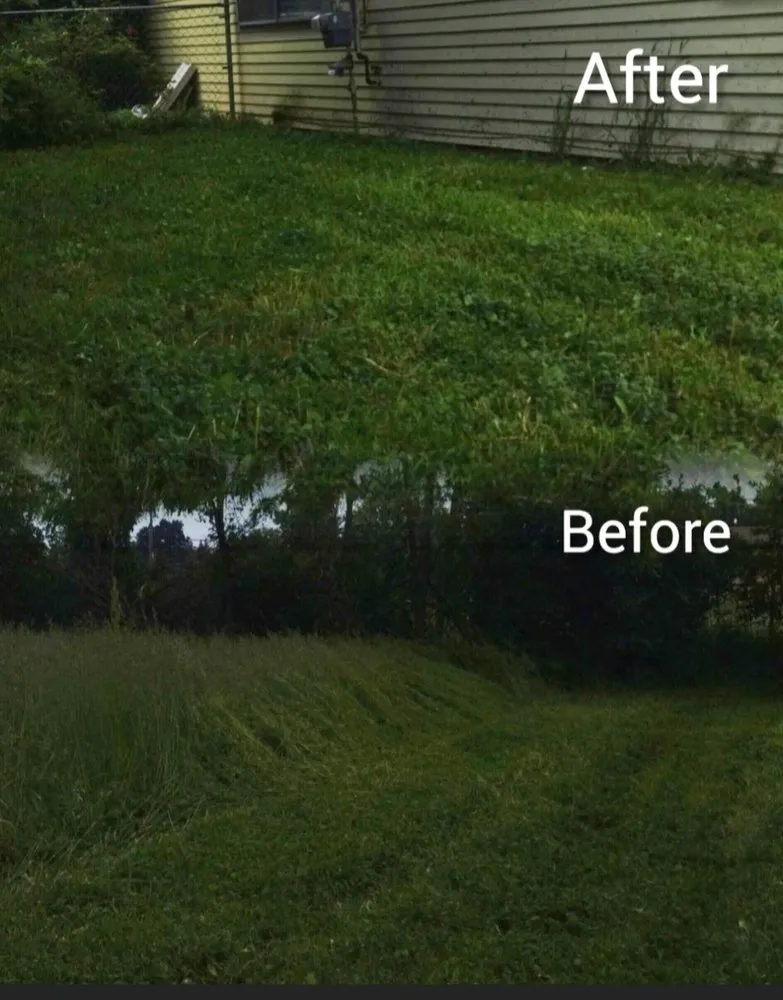 Expert residential landscaping for outdoor upgrades across Lansing, MI - Joy Lawn Care