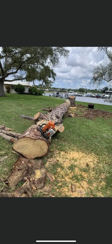 Trusted lawn care service in Avon Park, FL by Joya Tree Service & Lawn Care