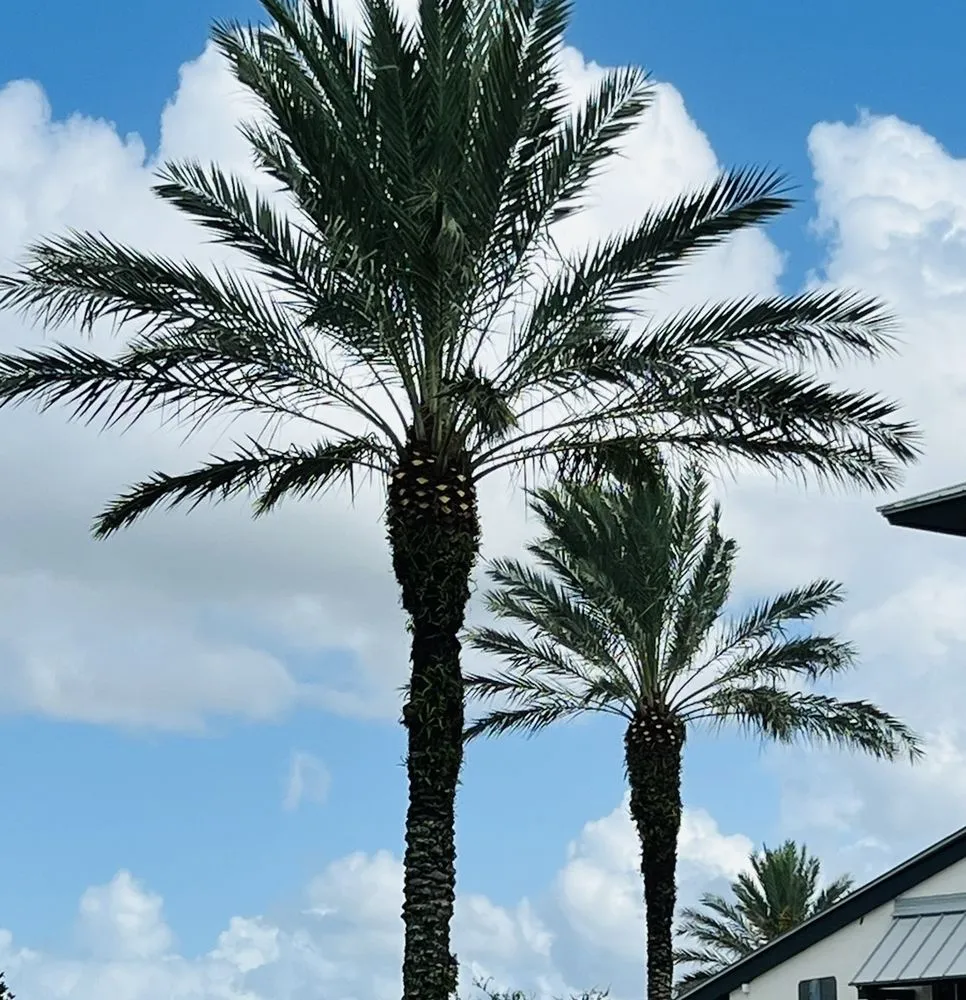 Top-rated garden landscaping in Avon Park, FL by Joya Tree Service & Lawn Care