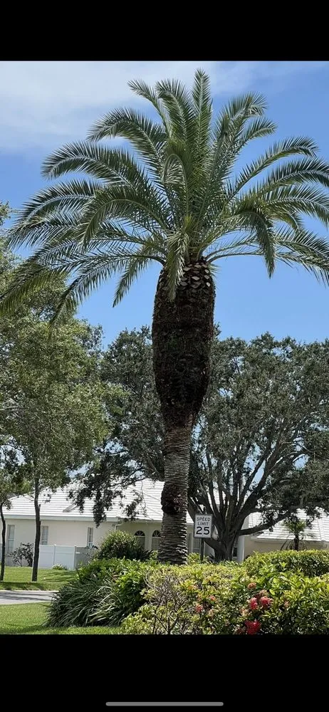 Trusted landscape design with custom design in Avon Park, FL by Joya Tree Service & Lawn Care