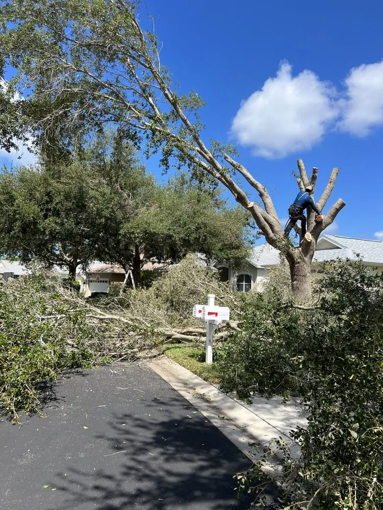 Affordable residential landscaping for outdoor upgrades in Avon Park, FL by Joya Tree Service & Lawn Care