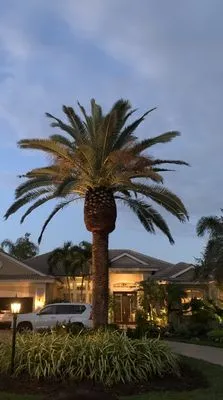 Joya Tree Service & Lawn Care