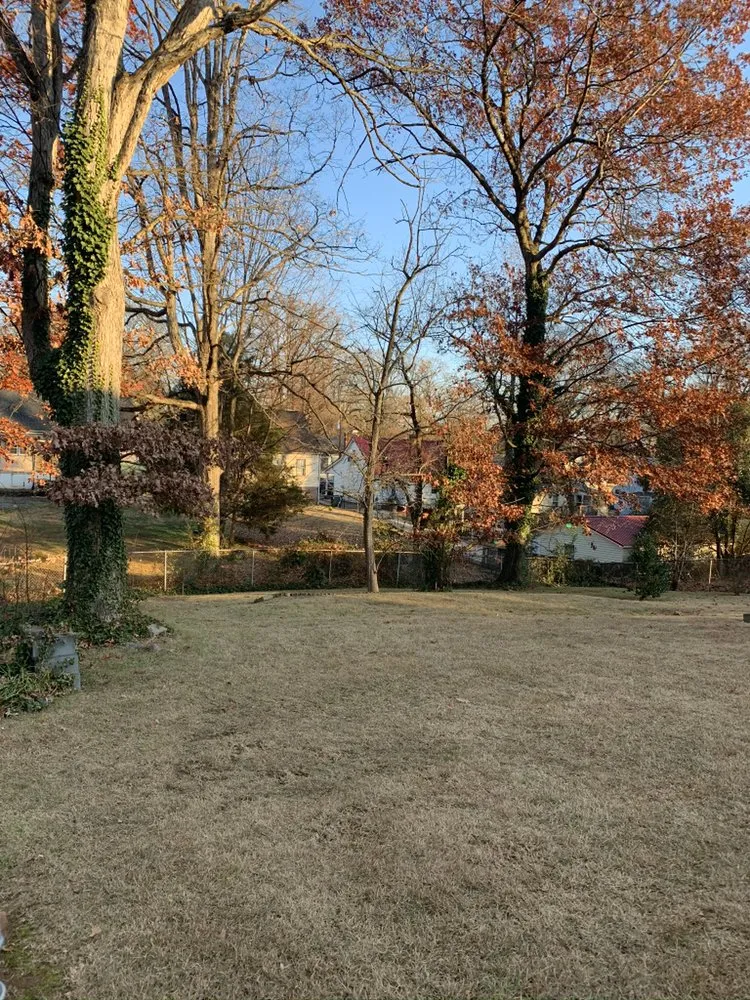 Professional yard maintenance in Winston-Salem, NC by Joyners Landscaping