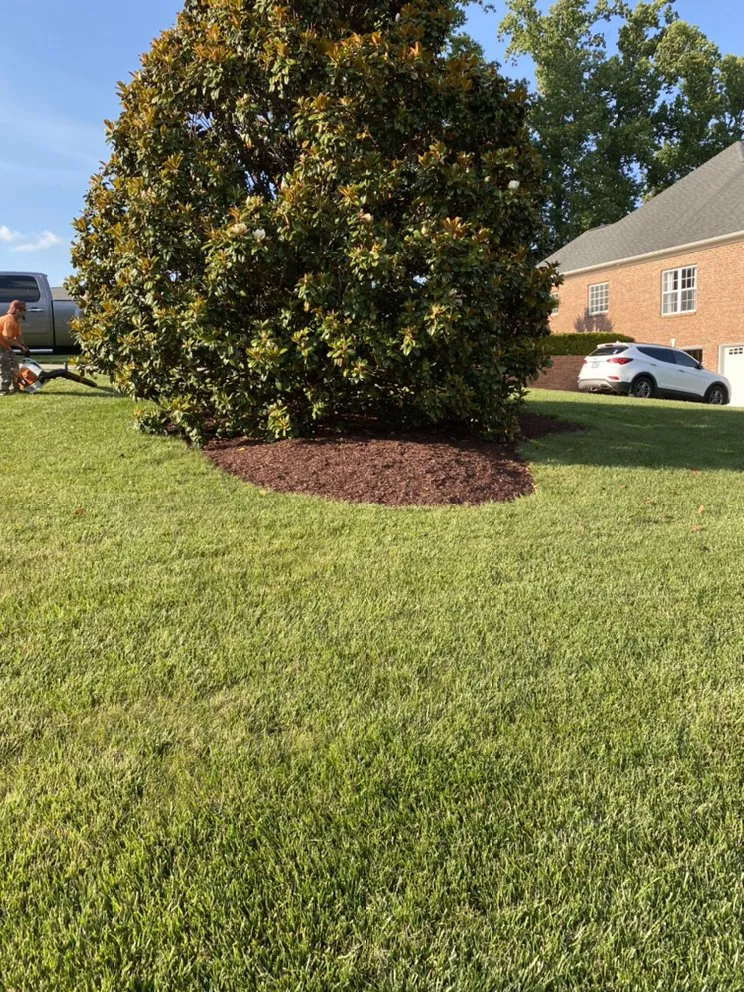 Local yard cleanup service in Winston-Salem, NC by Joyners Landscaping