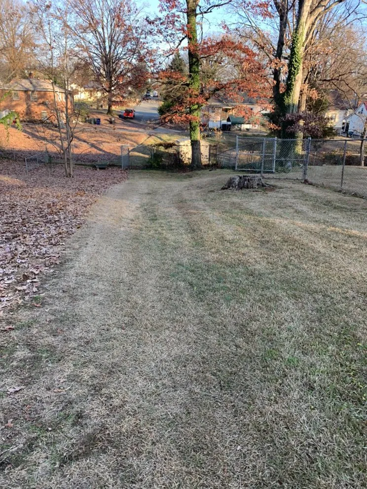 Local lawn care service for outdoor upgrades in Winston-Salem, NC by Joyners Landscaping