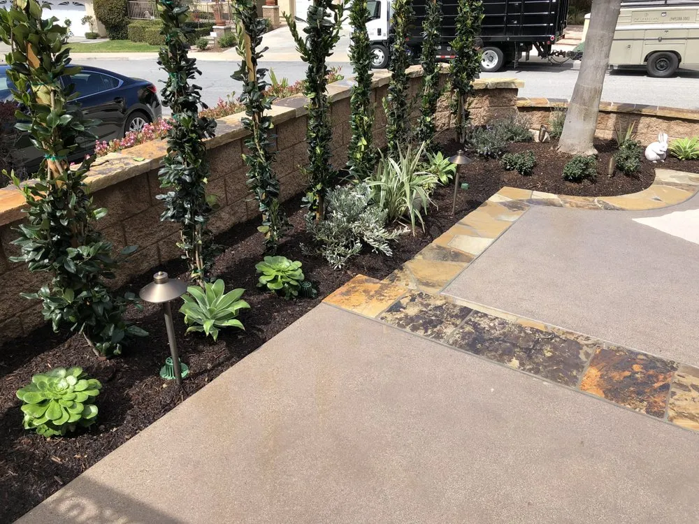 Trusted yard maintenance in Capistrano Beach, CA - JP & T Landscape